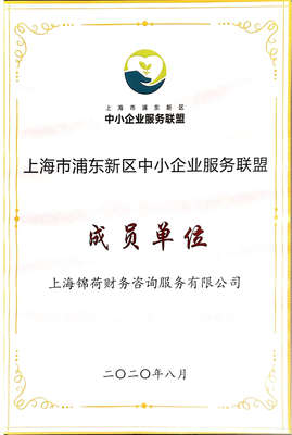 上海锦荷财务咨询服务 专业引领，助您稳健前行